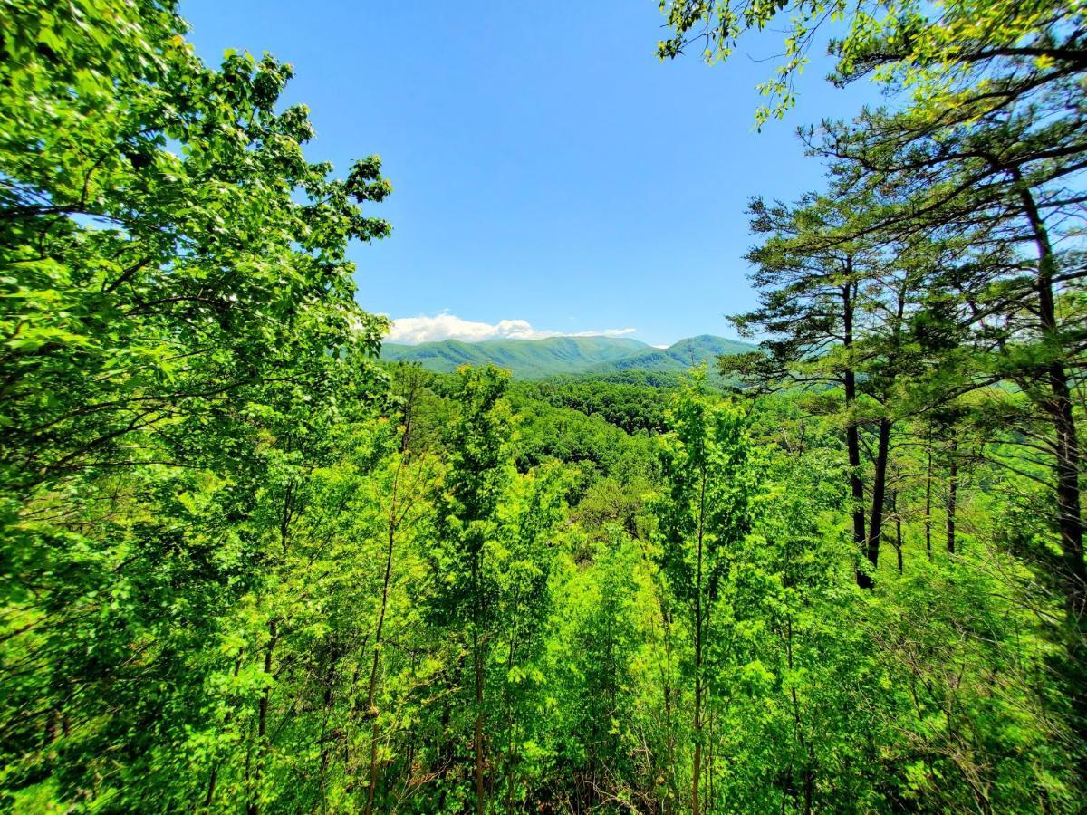 Mountain Ridge Villa Pigeon Forge Kültér fotó